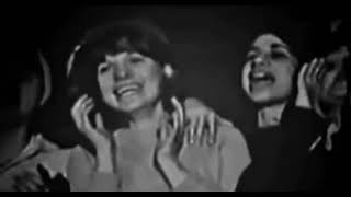Trump Asteroid (song)