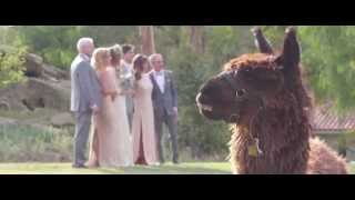 The Fantastic Mr. and Mrs. Zibach video