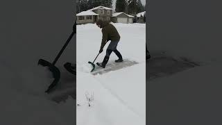 Shovel vs Plow #shorts