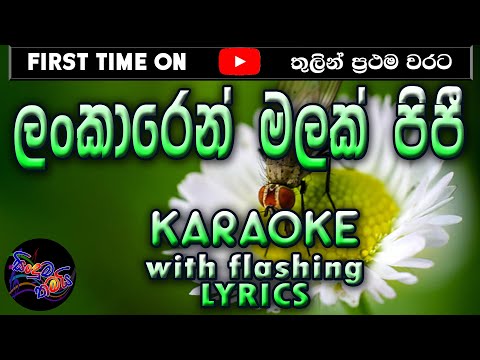 Lankaren Malak pipie Selenne Karaoke with Lyrics (Without Voice)