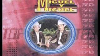 NIDO CAIDO MIGUEL Y MIGUEL
