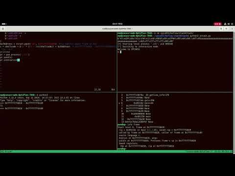 stack overflow shellcode injection