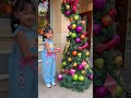 Mom Doesn T Want The Biggest Christmas Tree