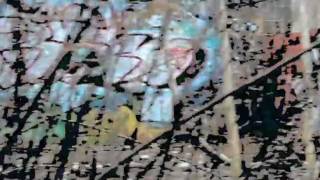 Pale Discretion - Trigger (Music Video)