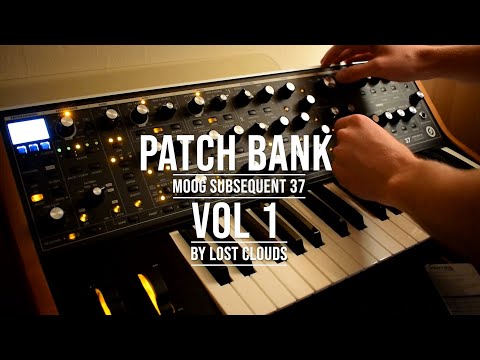 Демонстрация звучания аналогового синтезатора Moog Subsequent 37