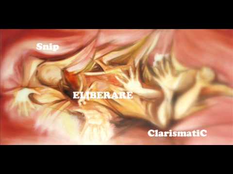 Snip feat ClarismatiC - Eliberare