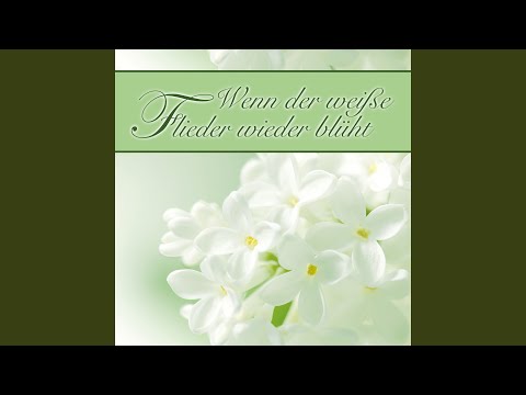 Im Café de la Paix in Paris