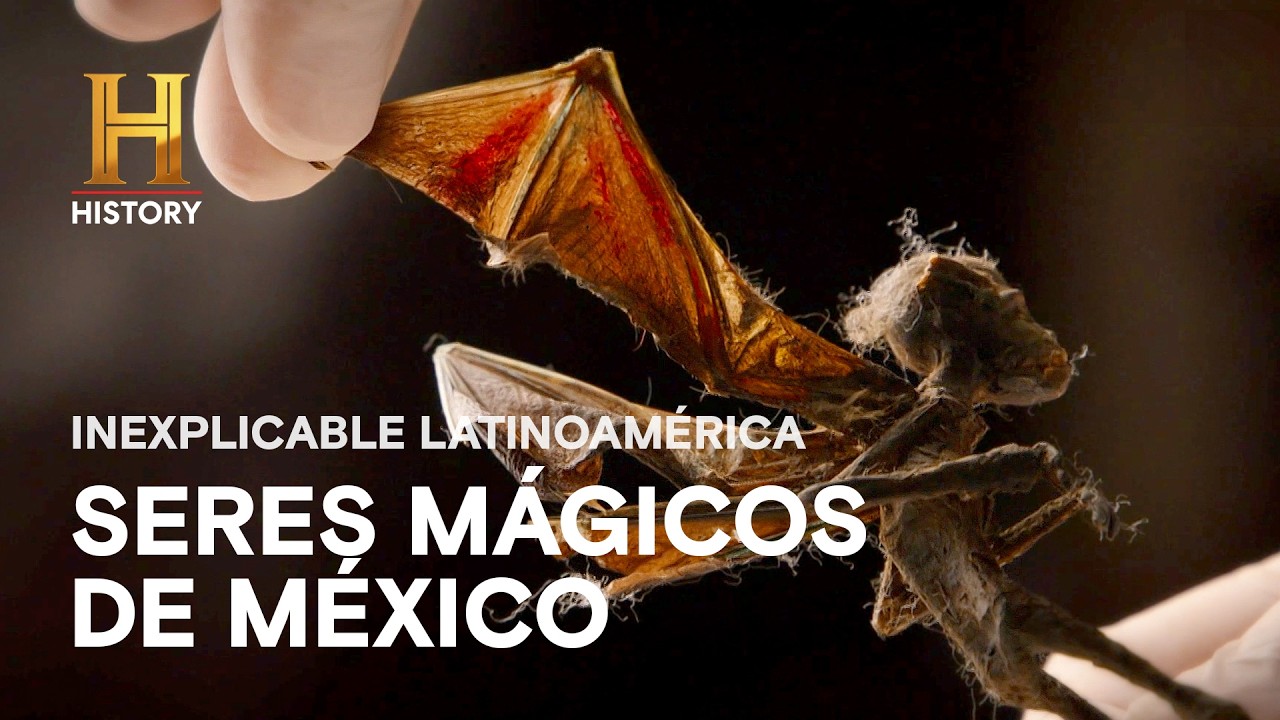 😈🦇 ¿Hadas reales? Seres malignos y mágicos en México 🇲🇽 Lo mejor de INEXPLICABLE LATINOAMÉRICA