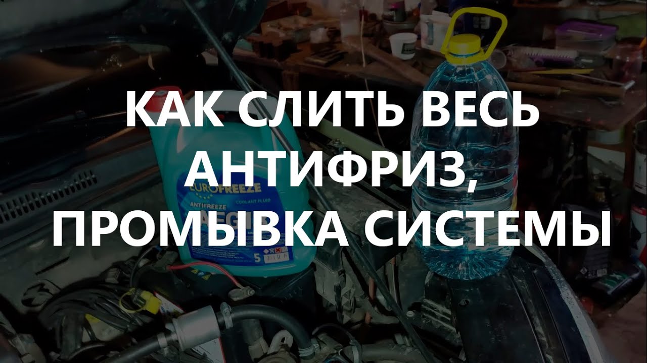Замена антифриза шкода рапид: как сделать правильно