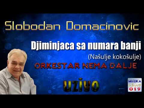 Slobodan Domacinovic - Djiminjaca sa numara banji UZIVO // MuzikaUzivo019
