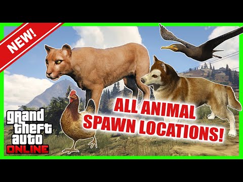 All Animal Spawn Locations *Where Do All The Animals Spawn* | GTA 5 Online