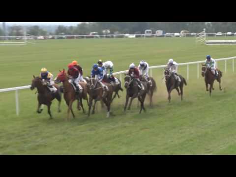 MI, 3. 9. 2016, 3. dostih - Cena společnosti CHARVÁT GROUP s.r.o.