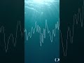 Terrifying Underwater Sound Linked To Mysterious Antarctic Ice Activity
