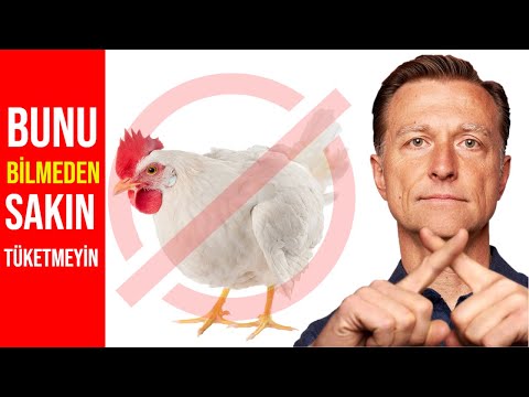, title : '“Tavuk yemeyin” uyarısı doğru mu? | Dr.Berg Türkçe'