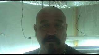 socal420report-ALASKAN THUNDER FUCK