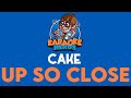 Cake - Up So Close (Karaoke)