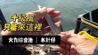 每到有空就是十級風! 今年颱風東北季風一直來~還能不能釣魚了!!!#釣魚  #弓角  #黑毛 #出水口 #火力發電廠