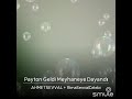 Payton Geldi
