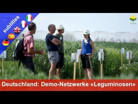 Demo-Netzwerk Leguminosen in Deutschland: Soja, Lupine, Erbse/Bohne