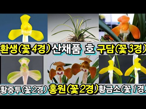 유튜브 썸네일