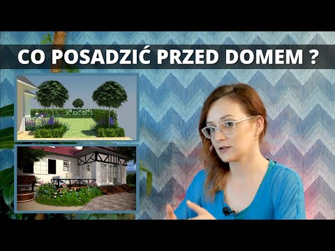 5 wskazówek jak urządzić OGRÓD przed DOMEM. Co posadzić przed domem?