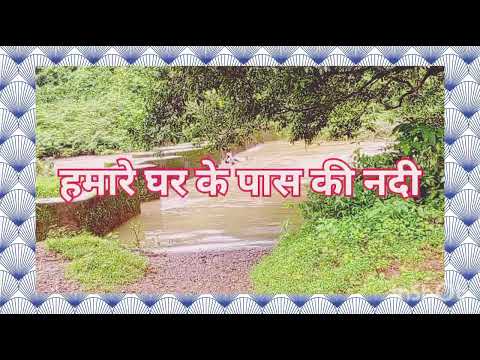 इतना जंगल हमने पूरी जिंदगी में नहीं देखा # vlog #daily vlog #akanksha748 #748akanksha #