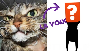 PAROLE DE CHAT: INTERVIEW de la VOIX MYSTERE???