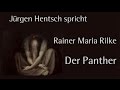Rainer Maria Rilke „Der Panther" VII 