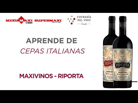 Aprendamos de Cepas Italianas junto a Riporta / Webinars de Julio 2024