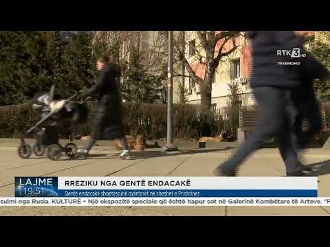 RREZIKU NGA QENTË ENDACAKË