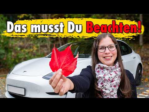 Tophie Elektrisiert and 2 more