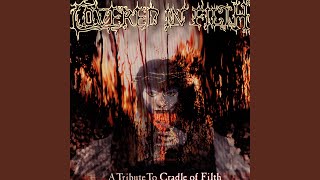 Malice Through The Looking Glass