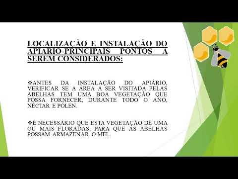 Aula 2 - Apicultura