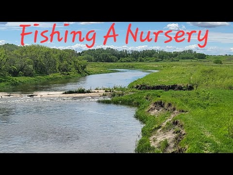 Fishing A Nursery