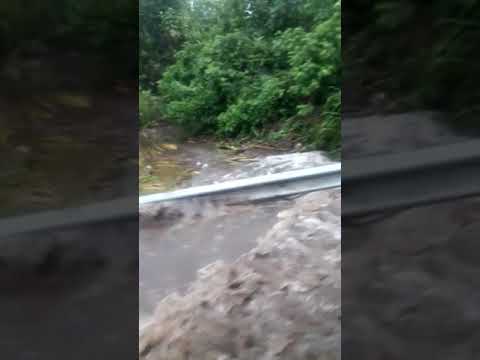 Temporal en la Ruta 304- El Chañar y La Ramada