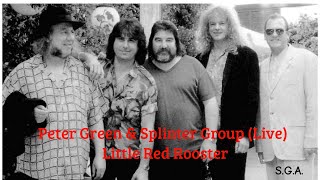 Peter Green &amp; Splinter Group - Little Red Rooster (Remastered) - Live