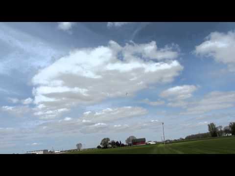 Marston Pteroworks 52" Pterodactyl