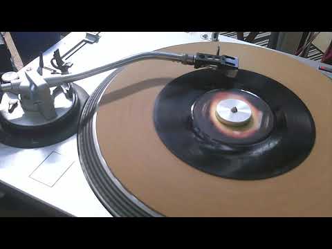 No No Song   Ringo Starr   1974