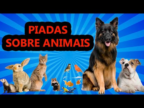 JOKES ABOUT ANIMALS - COMEDIAN THIAGO DIAS