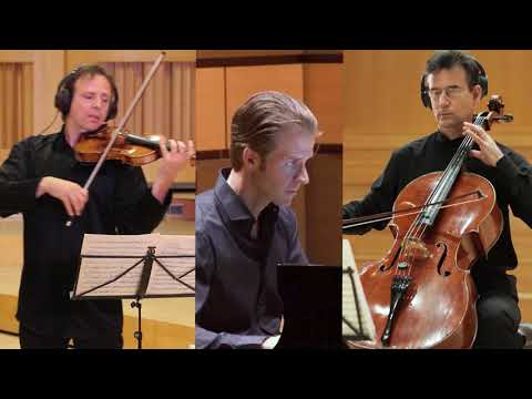 Beethoven Triple Concerto Project 2020 during COVID 19 lockdown