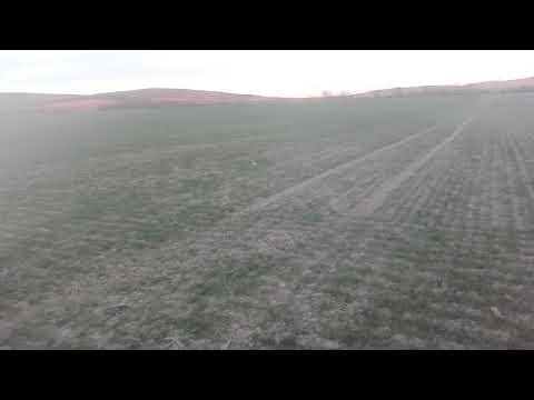 Agancsozás 2019.03.08  0,60kg