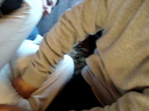 Shami , Randy & Clara .