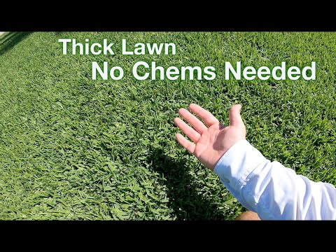 image-How do I make my grass grow thicker?