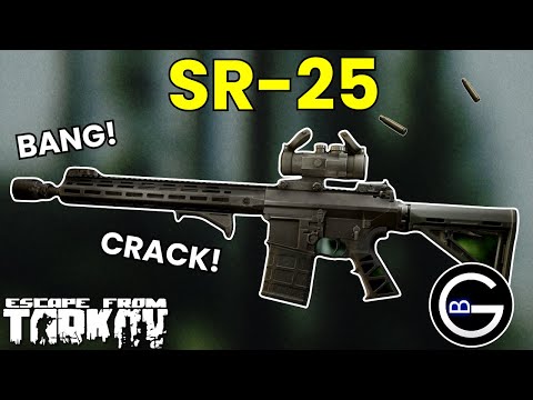 The Best SR-25 Builds! | M61 Madness