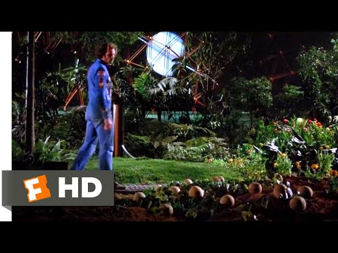 Silent Running - (1972) - Rejoice In The Sun Scene (1/10) | Movieclips