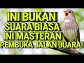 Masteran Burung Universal Tanpa Batas Suara Isian Gacor Sepanjang Masa Sikatanlondo Muraibatu