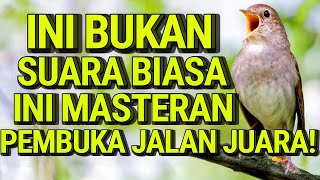 Download lagu Masteran Burung Universal Tanpa Batas – Suara Isian Gacor Sepanjang Masa! #sikatanlondo #muraibatu  mp3