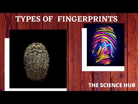 image-What are the 3 types of fingerprint patterns?