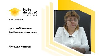 "Царство Животные. Тип Кишечнополостные"