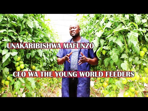 , title : 'MAFUNZO YA KILIMO CHA NYANYA |The Young World Feeders inakuletea mafunzo BUREE|'